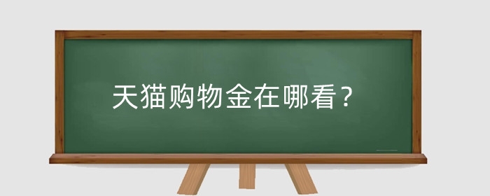 天猫购物金在哪看？可以随时退吗？