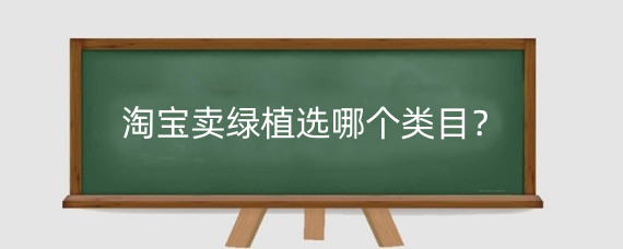 淘宝卖绿植选哪个类目？在淘宝卖绿植好吗？